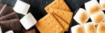 Flavorchem Smores Type Flavor Natural GMOF (93.7089 GM) banner
