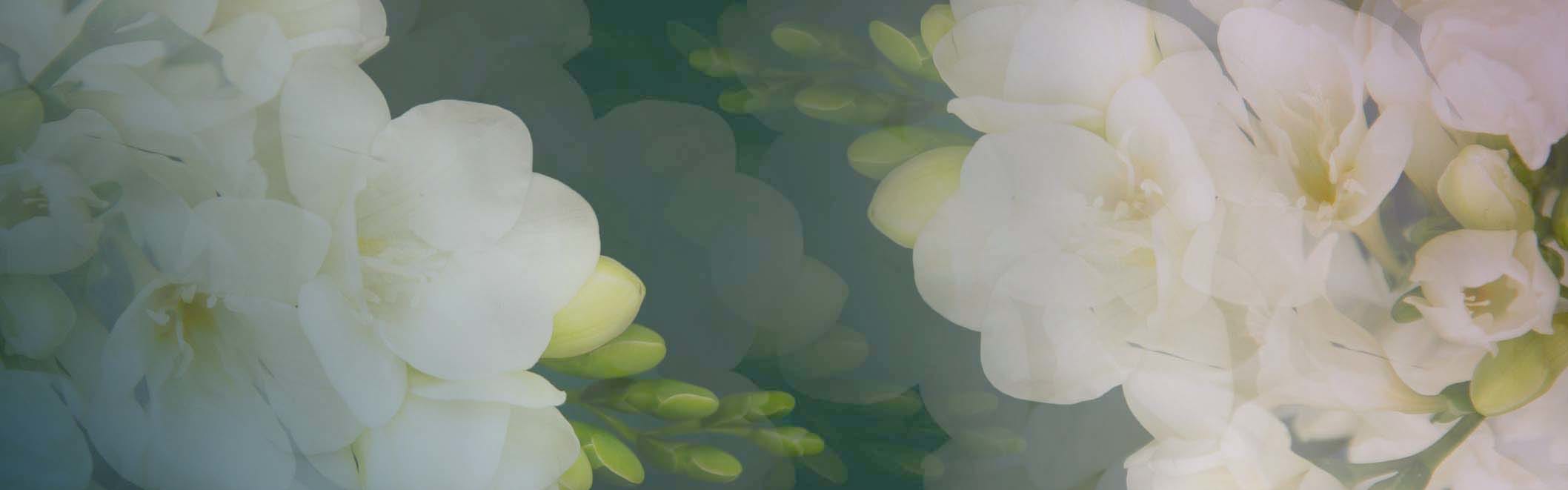 Orchidia Fragrances English Pear & Freesia Type Fragrance (Candle) (ORC2102703) banner