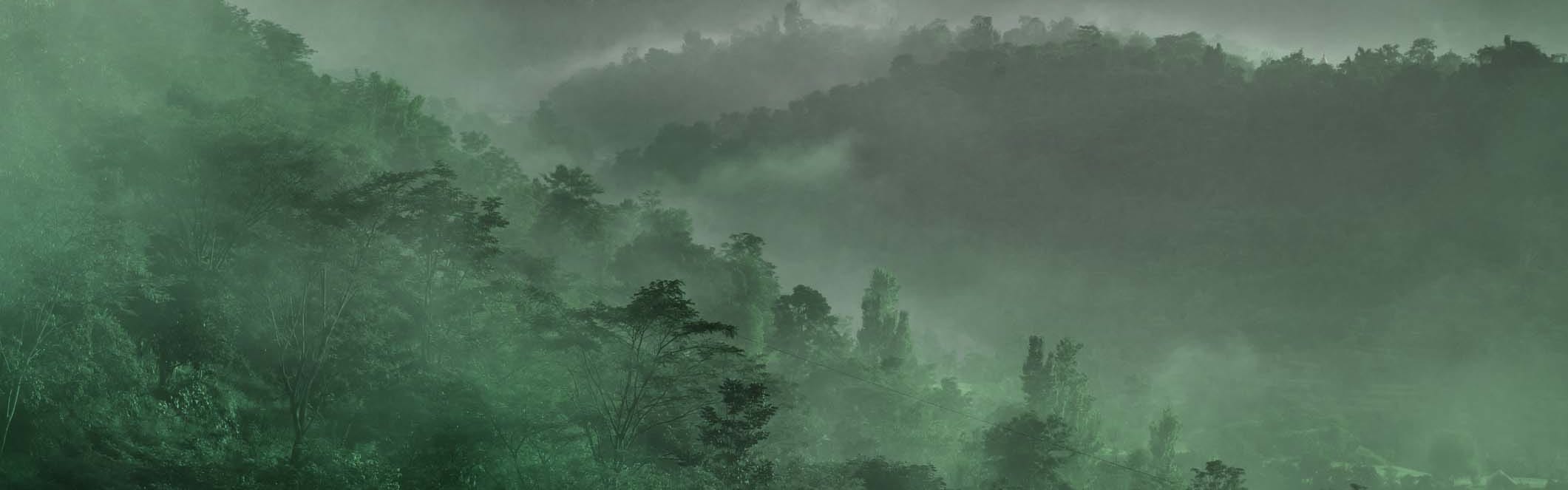 Orchidia Fragrances Darkwood Smoke Fragrance (PC) (ORC2102815) banner