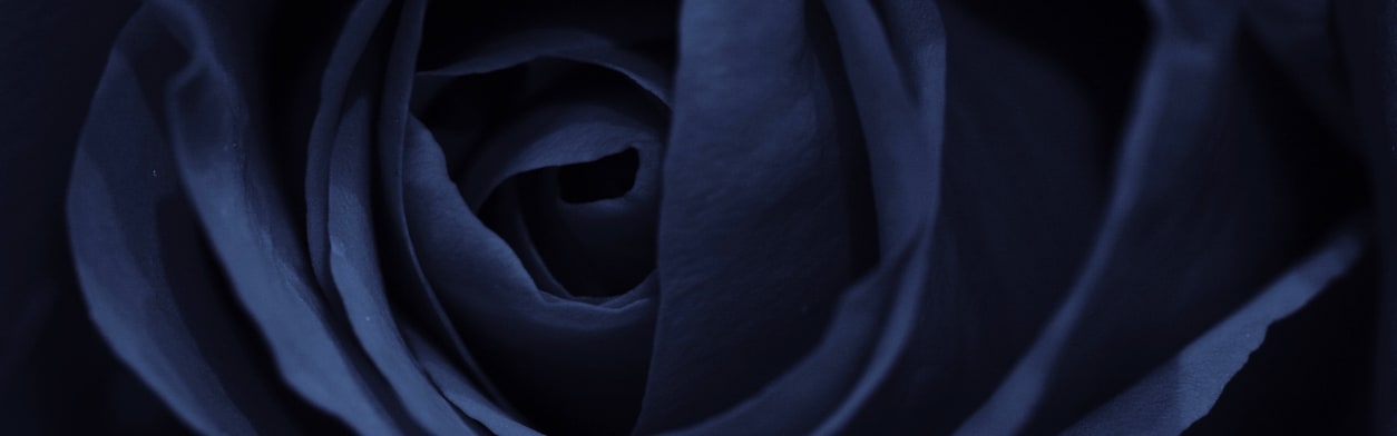 Obsidian Rose (Candle) (ORC2402727) banner
