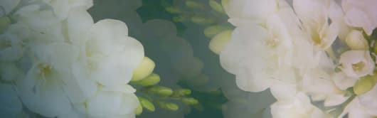 Orchidia Fragrances English Pear & Freesia Type Fragrance (PC) (ORC2102701) banner