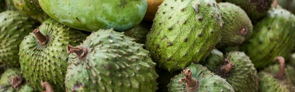 Natural Soursop Type FL SD (7237031) banner