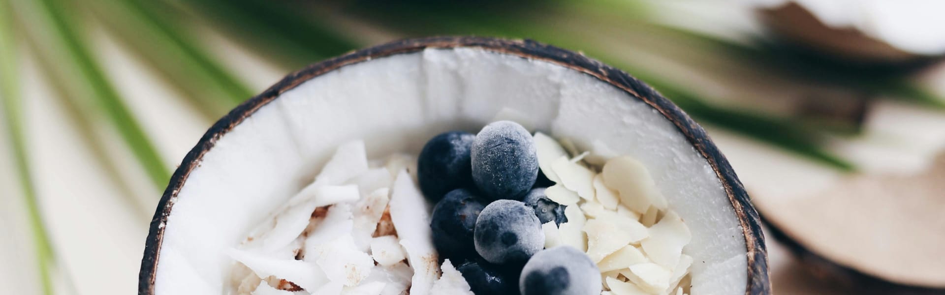 Flavorchem Blueberry Coconut (UF07972) banner