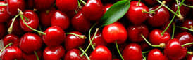 Callisons CHERRY TYPE FLAVOR N&A WS (108551) banner