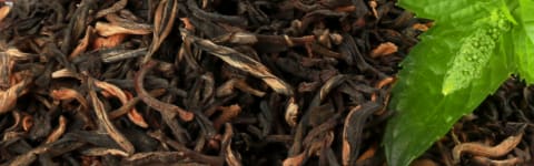 Natural Green Tea Type FL SD (7237123) banner