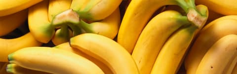 Natural Banana Type FL SD (7237100) banner