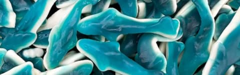 Natural Blue Shark Type FL SD (7237126) banner