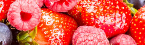 Natural Mixed Berry Type FL SD (7237113) banner