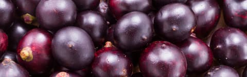 Natural Acai Type FL SD (7237118) banner