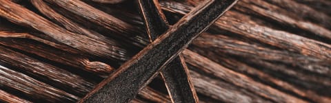 Natural Bourbon Vanilla FL WONF SD (7237116) banner