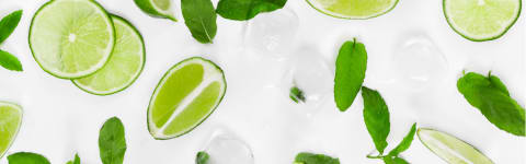 Natural Mojito Type FL SD (7237122) banner
