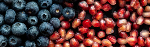 Natural Blueberry Pomegranate Type FL PL (7237143) banner