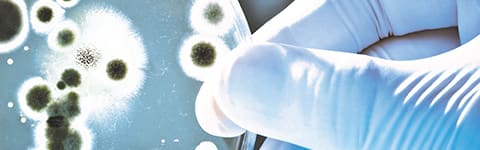 Vinkocide® CMIK 10 New banner