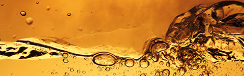 grotamar banner