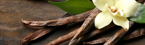 Natural Vanilla Type FL PLATE (7237147) banner