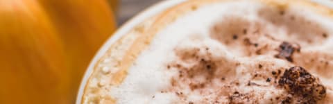 Natural Pumpkin Spice Type FL WS (7237148) banner