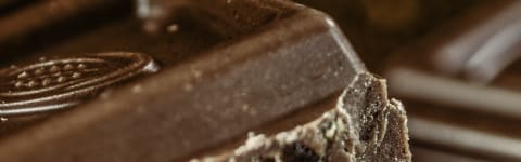 Natural Dark Chocolate Type FL SD (7237158) banner