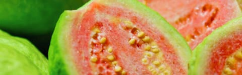 Natural Guava FL WONF SD (7237167) banner