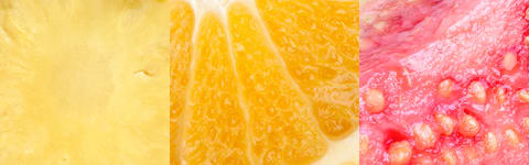 Natural Orange Pineapple Guava Type FL SD (7237175) banner