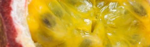 Natural Passionfruit Type FL SD (7237178) banner