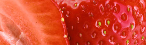 Natural Strawberry FL WONF SD (7237186) banner
