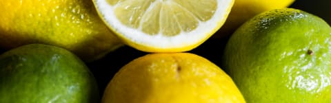 Natural Lemon Lime FL WONF SD (7237170) banner