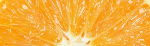 Natural Orange FL WONF SD (7237174) banner