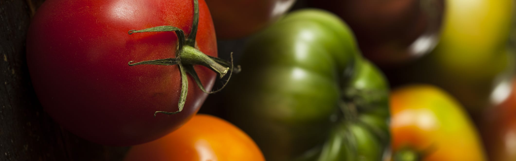 Garden Basil (ORC2500945) banner