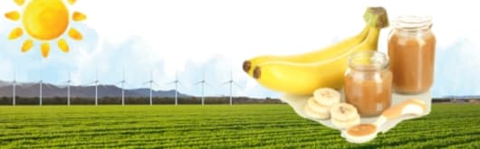 Dole Speciality Ingredients Aseptic Acidified Banana Puree banner