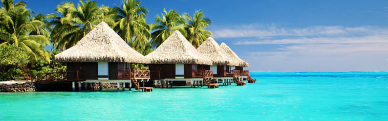 Orchidia Fragrances Bora Bora Fragrance (ORC2102317) banner