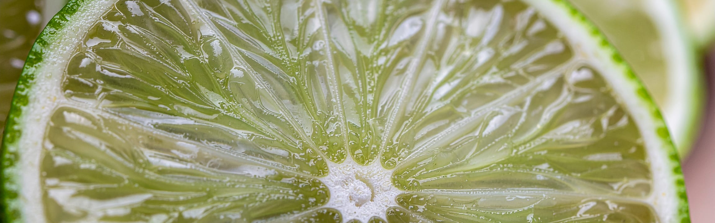 Lime Juice Powder - Coming Soon banner