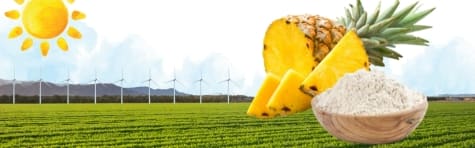 Dole Speciality Ingredients Pineapple Fiber Powder banner