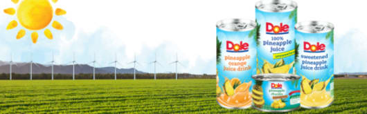 Dole Speciality Ingredients Aseptic Pineapple Syrup Concentrate banner
