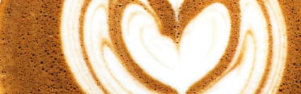 Natural Mocha Type FL SD (7237121) banner