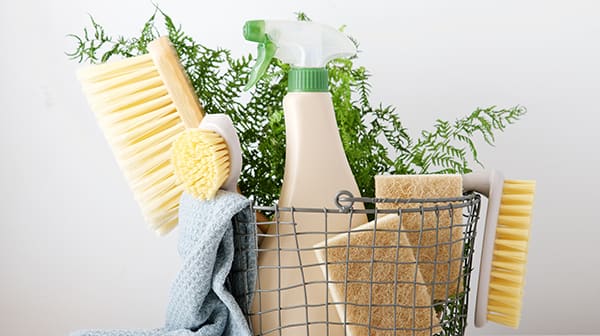 Cleaning Ingredients