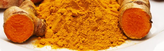 Arjuna Natural Turmeric Extract - 40% powder (CPE - 040) banner