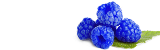 Imbibe Natural Blue Raspberry Flavor (230149) banner