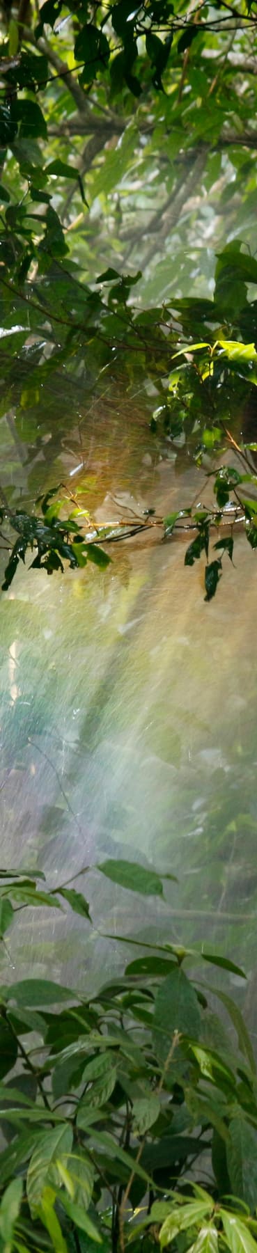 company tower banner