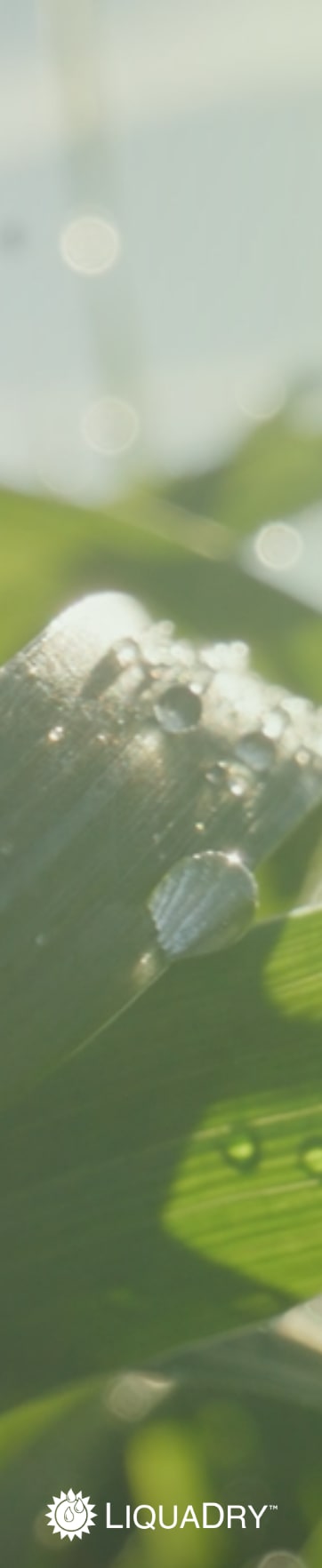 company tower banner