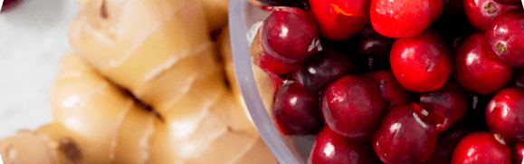 Flavorchem Cranberry Ginger Flavor Natural WONF (26.6009) banner