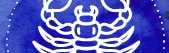 Orchidia Fragrances Scorpio Fragrance (PC) (ORC2301267) banner