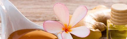 Orchidia Fragrances Ginger Zest Fragrance (ORC2100306) banner