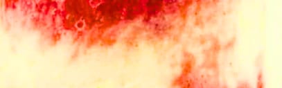 Natural Miami Vice Type FL SD (7237115) banner