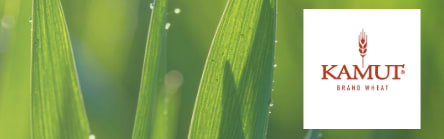 KAMUT® Brand Wheatgrass Juice Powder banner