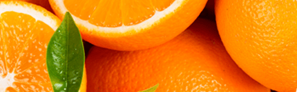 Orchidia Fragrances Orange Fragrance (ORC2000765) banner