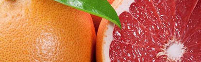 Orchidia Fragrances Pink Grapefruit Sugar Fragrance (ORC1800612) banner