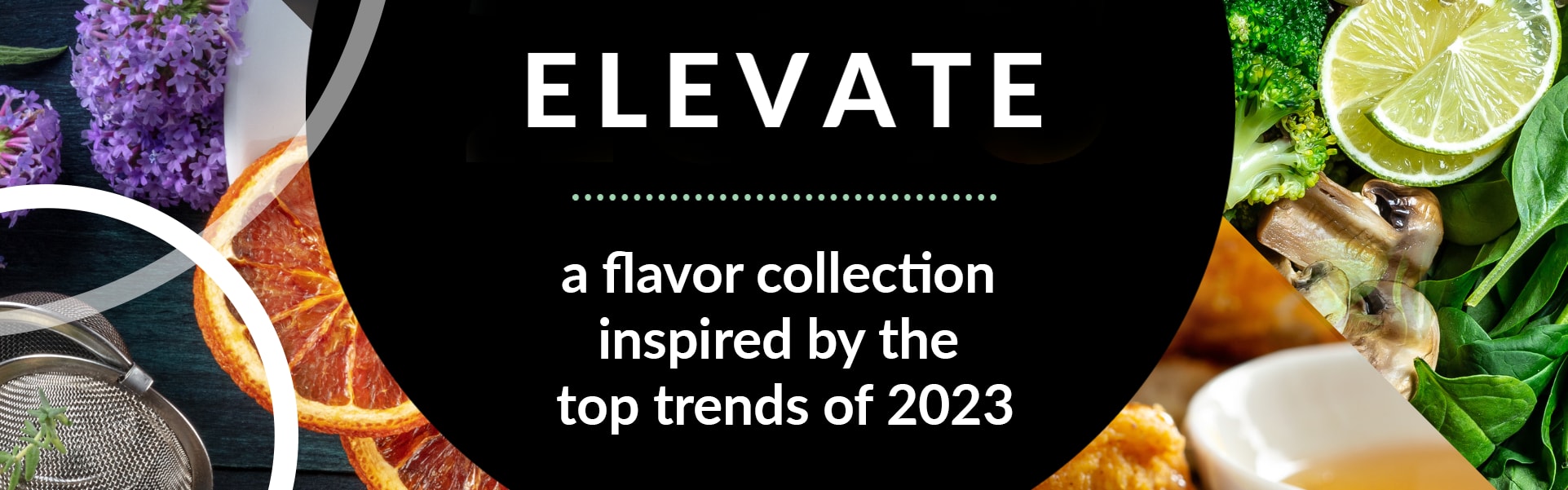 Flavorchem Elevate banner