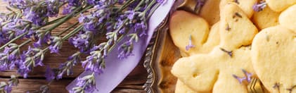 Orchidia Fragrances Lavender Vanilla Fragrance (ORC1901550) banner