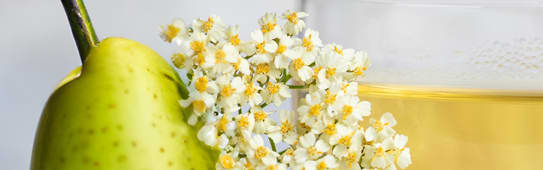 Flavorchem Pear Elderflower Type Flavor Natural (33.4204) banner