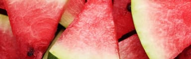 Orchidia Fragrances Melon Fragrance (ORC1902042) banner